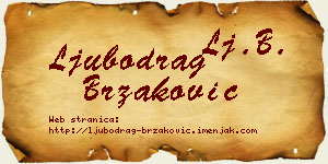 Ljubodrag Brzaković vizit kartica